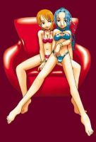 one_piece_nami_x_vivi_20130224_11.jpg
